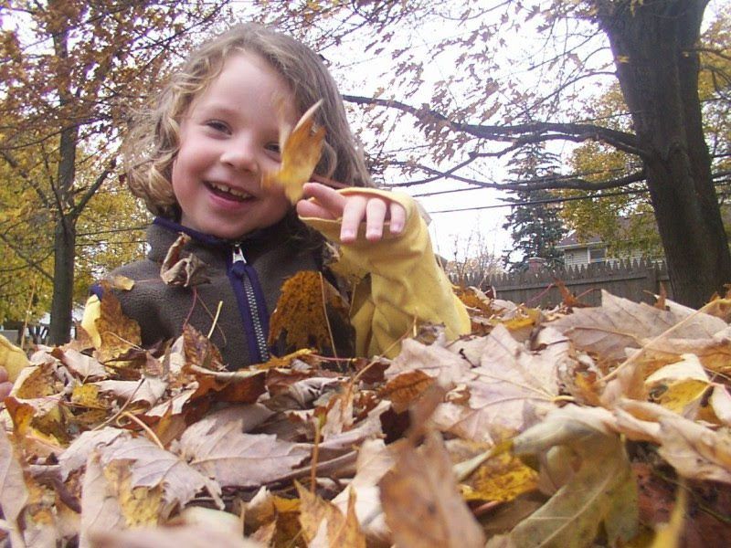 child playing in leaves