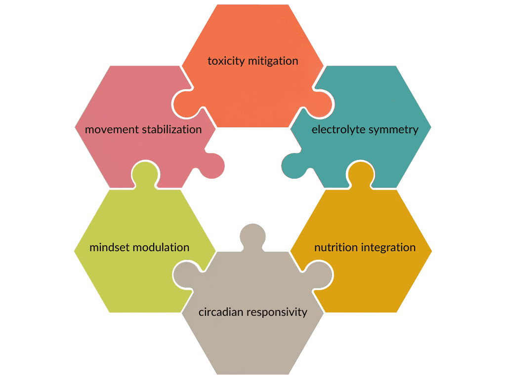 5 Points Process Puzzle Infographic Graph