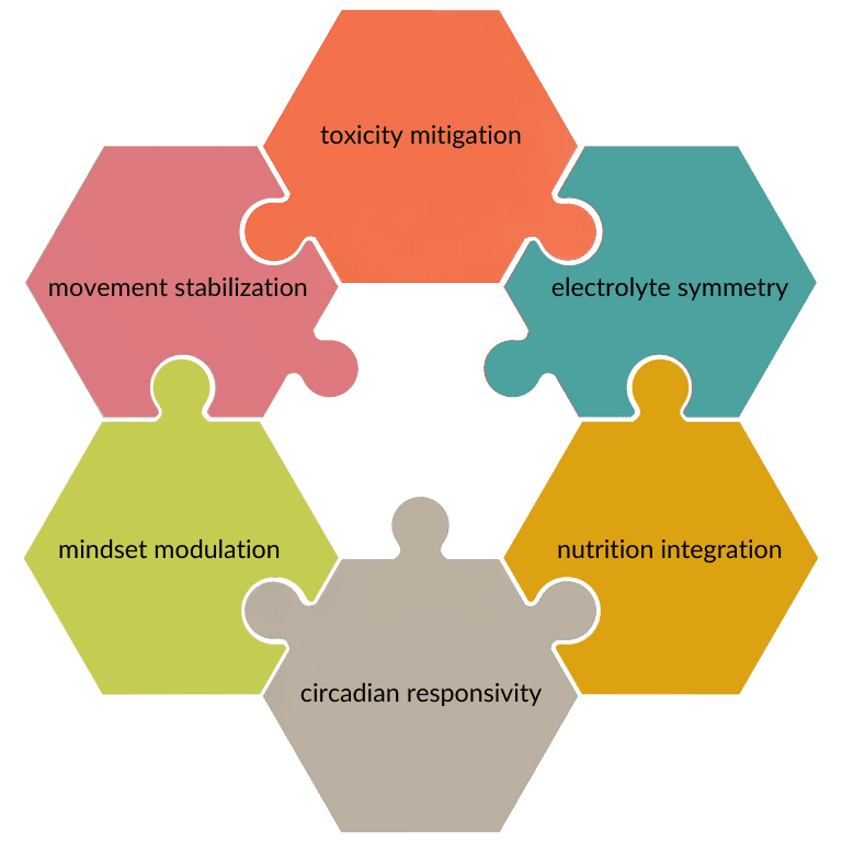 5 Points Process Puzzle Infographic Graph